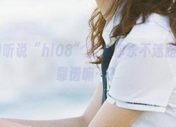 听说“hl08”能让你永不迷路，但靠谱嘛…？
