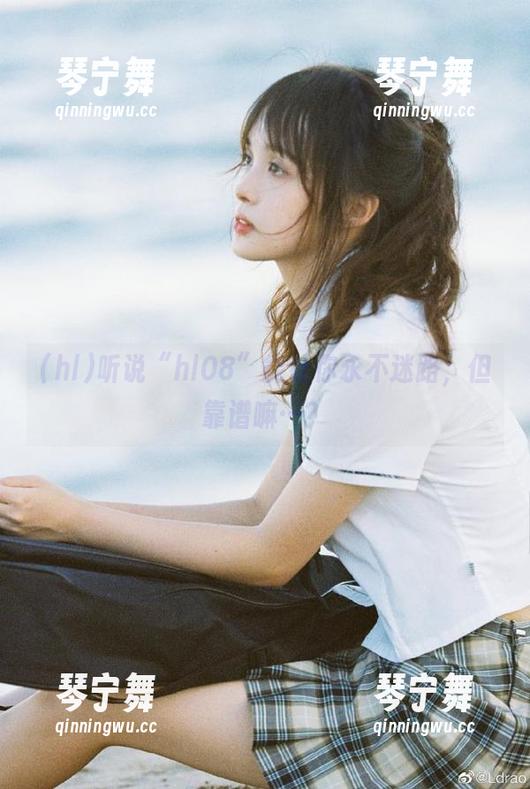 听说“hl08”能让你永不迷路，但靠谱嘛…？