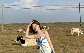 更新了！准备好迎接吃瓜网的无限免费美味了吗？