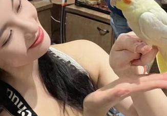 黑料吃瓜网首页，下载你的解压神器，每天一颗瓜，心情美滋滋！